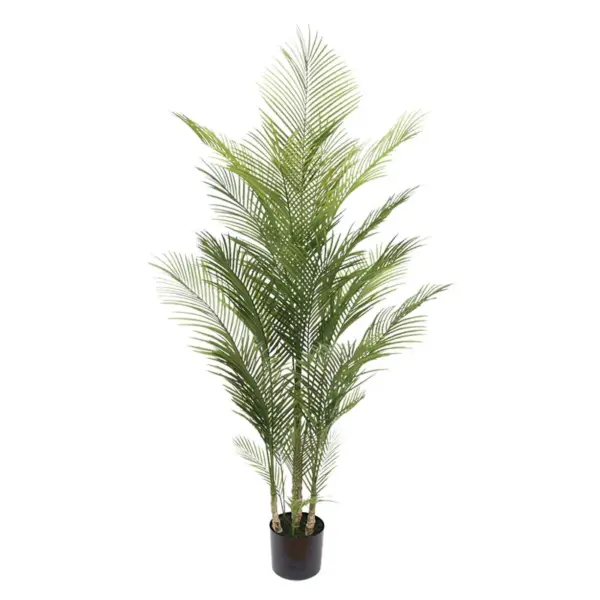 Δεντρο φοινικασ palm πρασινο σε γλαστρα - υ175cm 2/kib