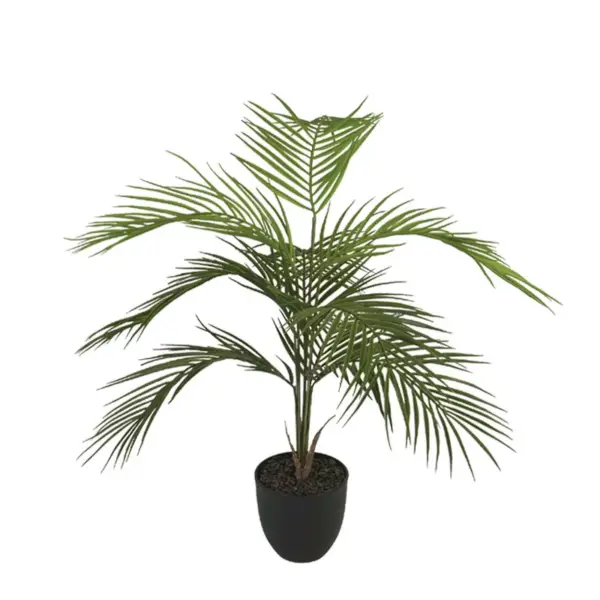 Δεντρο φοινικασ palm σε κασπω - υ81cm 8/kib