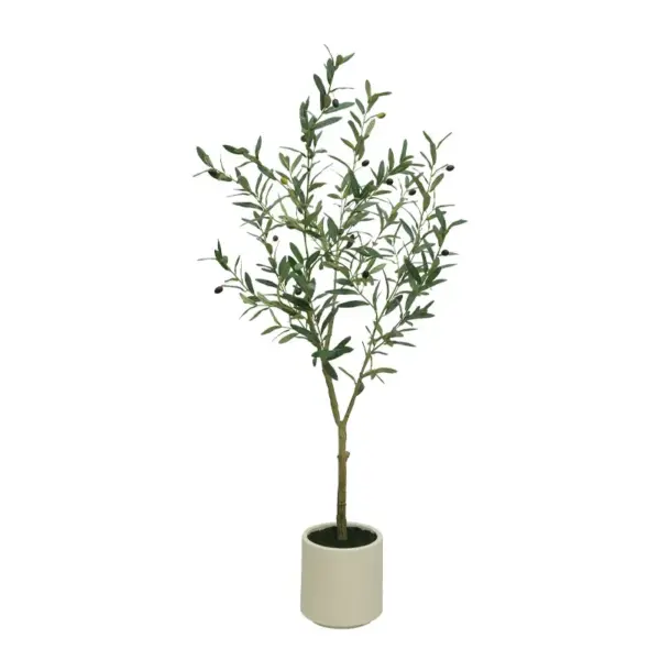 Δεντρο ελια πρασινο σε κασπω - υ150cm 1/kib