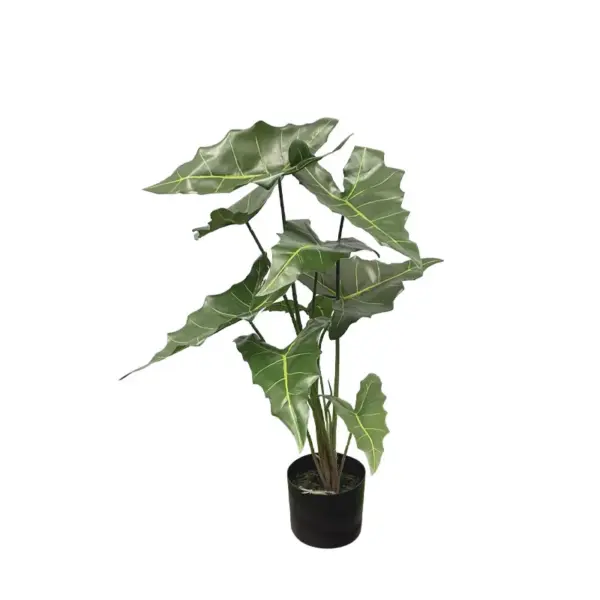 Δεντρο real touch αλοκασια σε κασπω - υ75cm 3/kib