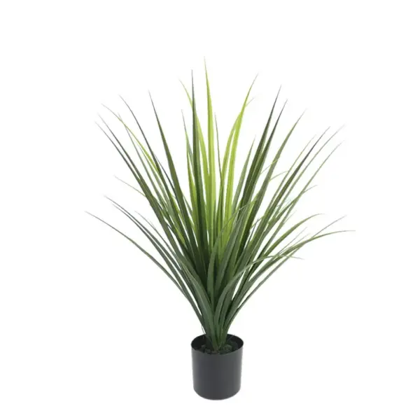 Δεντρο γιουκα πρασινο σε κασπω - υ70cm 6/kib