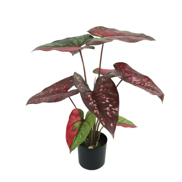 04-20022-1 Mini κακτακια mix σε γυαλινο κασπω σετ/6 - 5x12cm 6/16κιβ