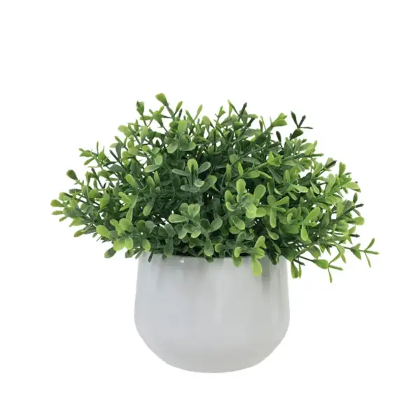 Γλαστρακι πρασιναδασ γκρασσ - υ17cm 6/12κιβ