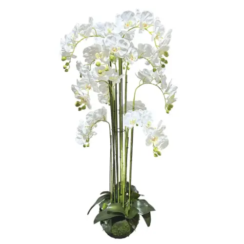Φυτο ορχιδεα λευκο ανθη real touch - υ135cm 1/κιβ