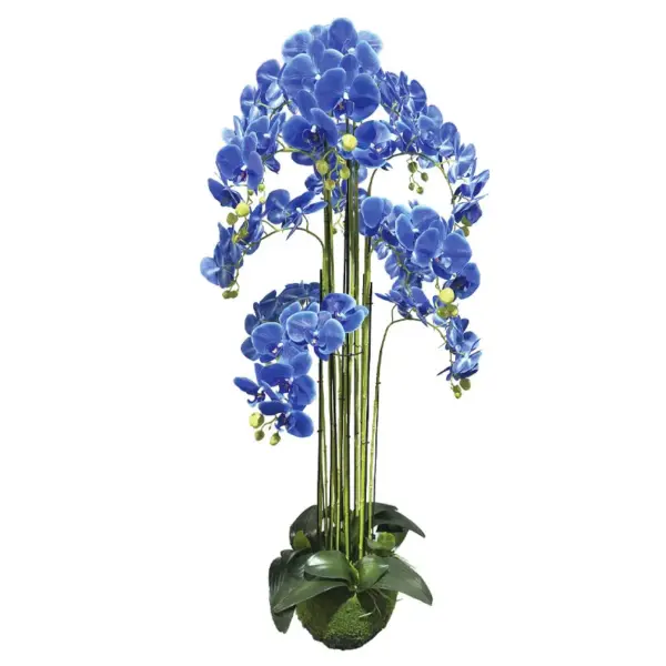 Φυτο ορχιδεα μπλε ανθη real touch - υ135cm 1/kib