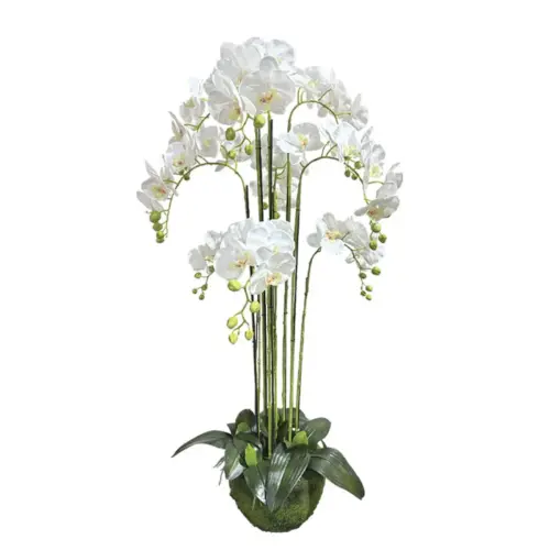 Φυτο ορχιδεα λευκα ανθη real touch - υ118cm 1/κιβ