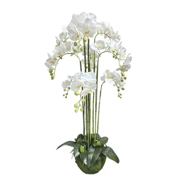 Φυτο ορχιδεα λευκα ανθη real touch - υ118cm 1/κιβ