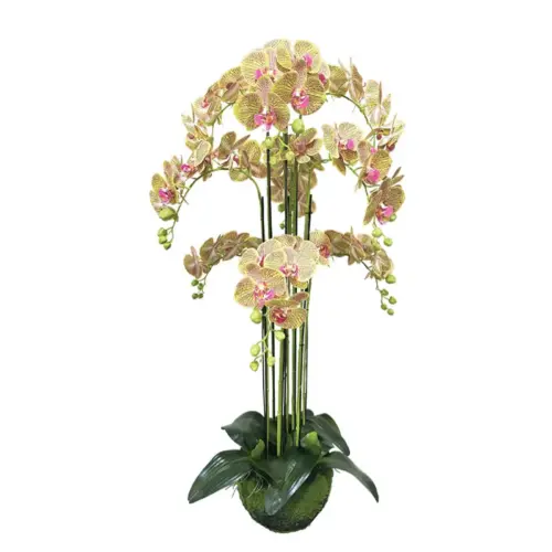 Φυτο ορχιδεα λαχανι με ροζ ριγεσ ανθη real touch - υ118cm 1/kib