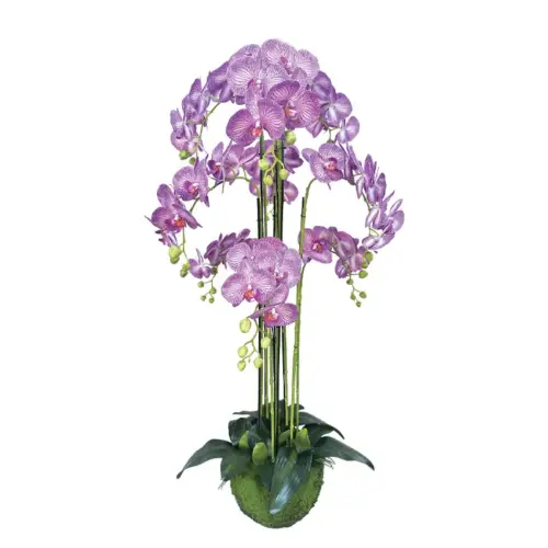 Φυτο ορχιδεα μωβ με λευκεσ ριγεσ ανθη real touch - υ118cm 1/kib