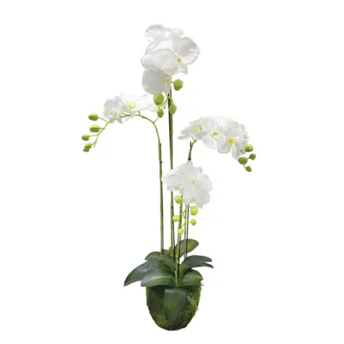 Φυτο ορχιδεα λευκα ανθη real touch - υ98cm 2/κιβ