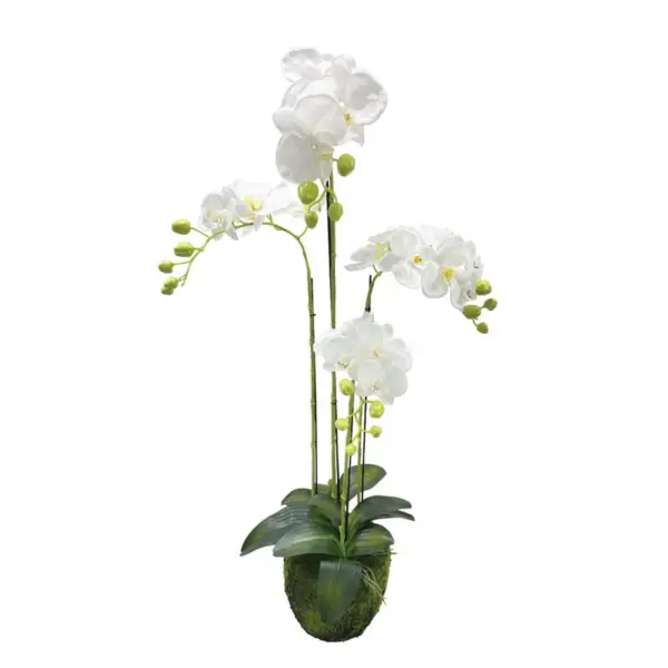 Φυτο ορχιδεα λευκα ανθη real touch - υ98cm 2/κιβ