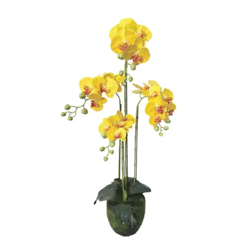 Φυτο ορχιδεα κιτρινα ανθη real touch - υ98cm 2/kib