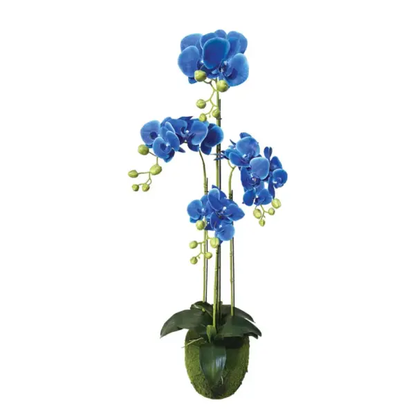Φυτο ορχιδεα μπλε ανθη real touch - υ98cm 2/kib