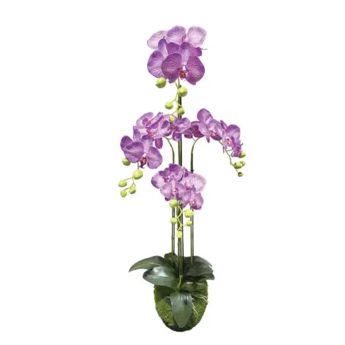 Φυτο ορχιδεα μωβ με λευκεσ ριγεσ ανθη real touch - υ98cm 2/kib