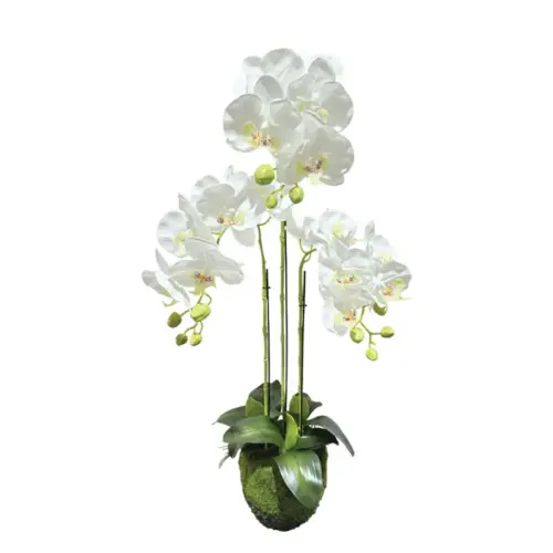 Φυτο ορχιδεα λευκα ανθη real touch - υ82cm 2/8κιβ