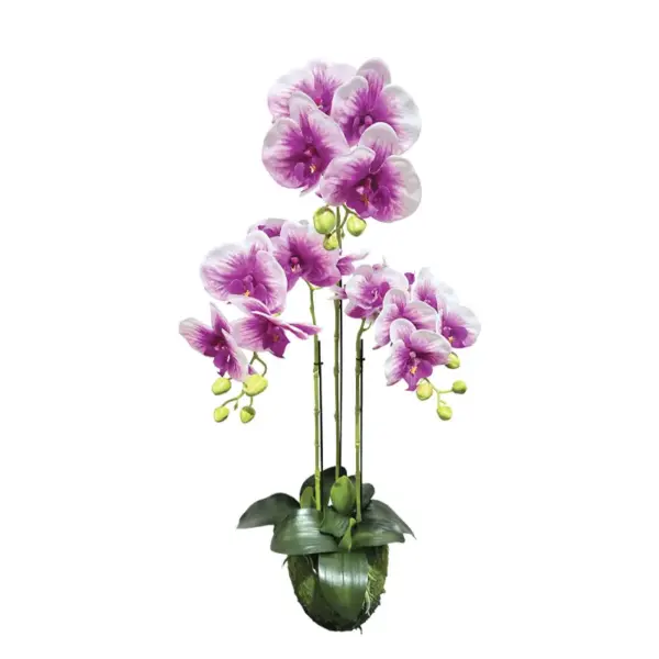Φυτο ορχιδεα διχρωμη μωβ/λευκο ανθη real touch - υ82cm 2/8κιβ