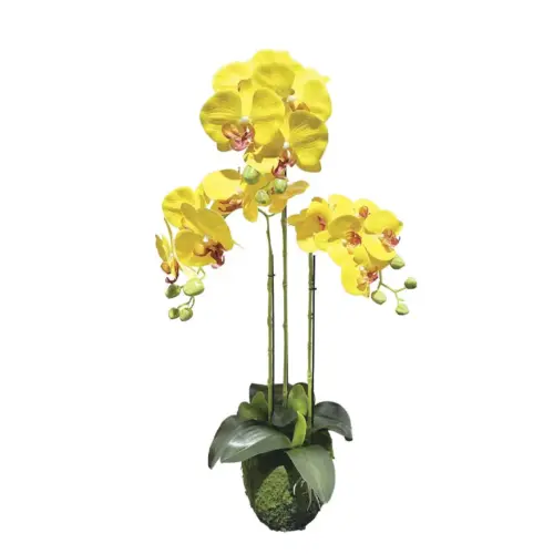 Φυτο ορχιδεα κιτρινο ανθη real touch - υ82cm 2/kib