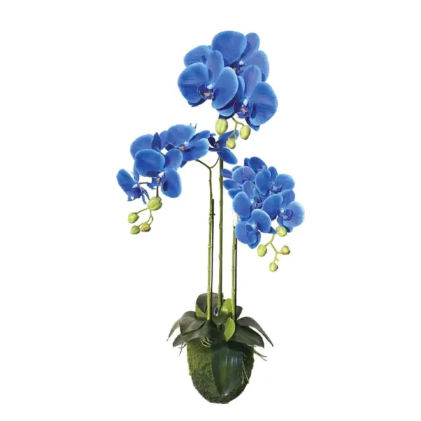 Φυτο ορχιδεα μπλε ανθη real touch - υ82cm 2/kib