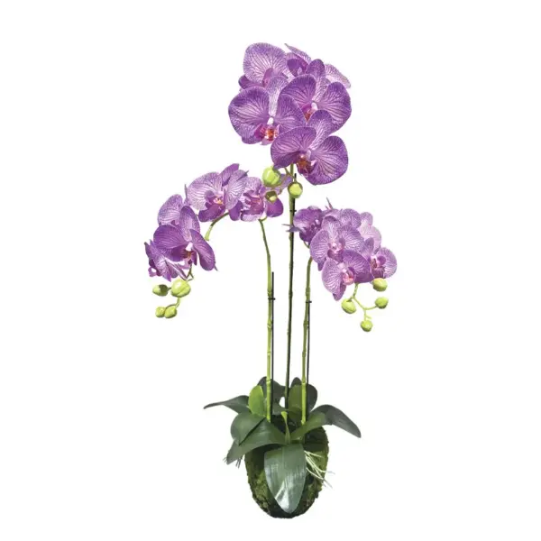 Φυτο ορχιδεα μωβ με λευκεσ ριγεσ ανθη real touch - υ82cm 2/kib