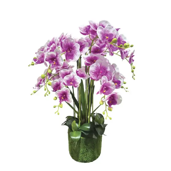 Φυτο ορχιδεα διχρωμη μωβ/λευκα ανθη real touch - υ80cm 1/κιβ