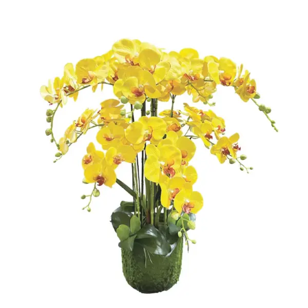 Φυτο ορχιδεα κιτρινα ανθη real touch - υ80cm 1/kib