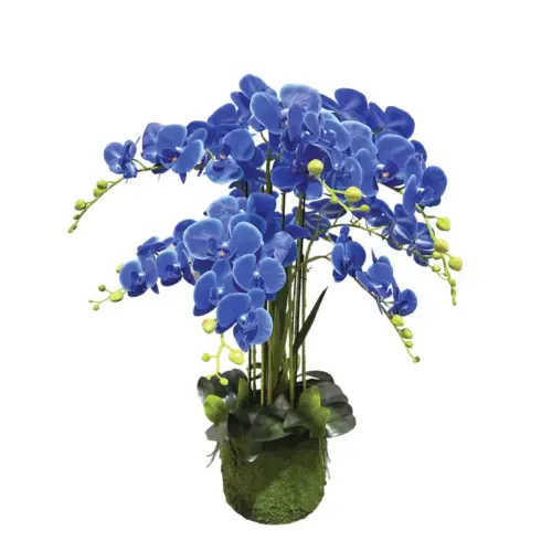 Φυτο ορχιδεα μπλε ανθη real touch - υ80cm 1/kib