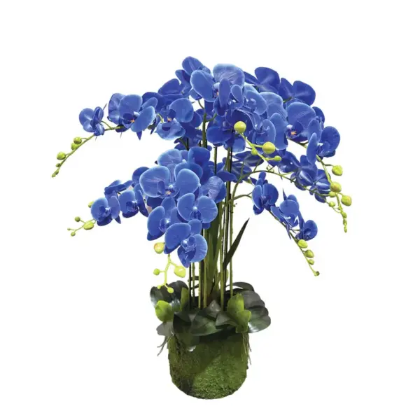 Φυτο ορχιδεα μπλε ανθη real touch - υ80cm 1/kib