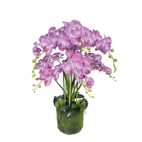 Φυτο ορχιδεα μωβ με λευκεσ ριγεσ ανθη real touch - υ80cm 1/kib