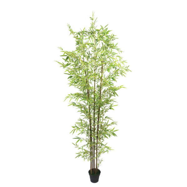 04-95066 Δεντρο μπαμπου real touch σε γλαστρα - υ270cm 2/κιβ