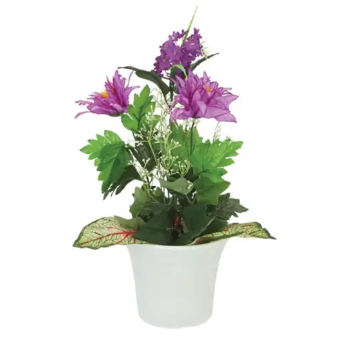 Ανθοσυνθεση μωβ σε πλαστικη γλαστρα 250 - υ42cm