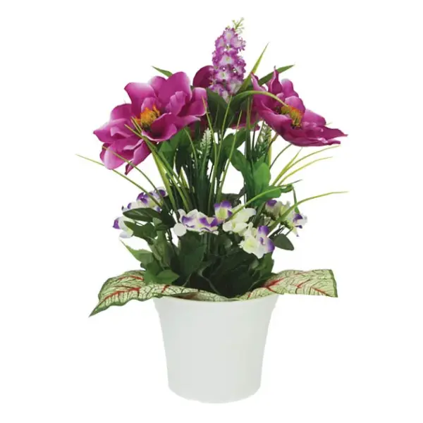 Mini κακτακια mix σε γυαλινο κασπω σετ/6 - 5x12cm 6/16κιβ