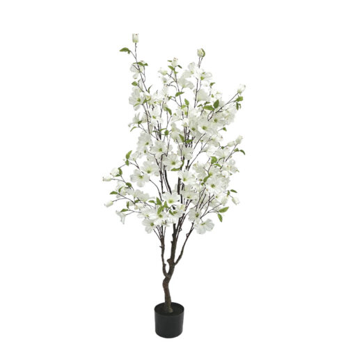 Δεντρο κρανια λευκο σε γλαστρα - υ135cm 4/kib