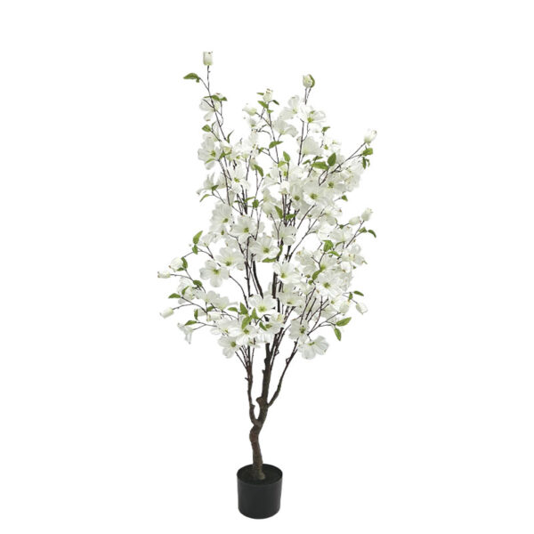 10115-Y137cm Δεντρο κρανια λευκο σε γλαστρα - υ135cm 4/kib