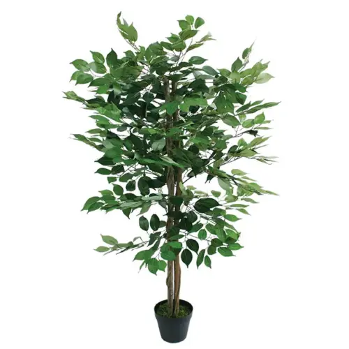 Δεντρο πρασινο μπενζαμιν σε γλαστρα - υ120cm 4/κιβ