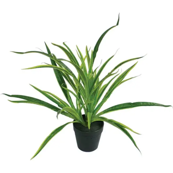 Φυτο αραχνη real touch σε πλαστικη γλαστρα - υ43cm 6/36κιβ