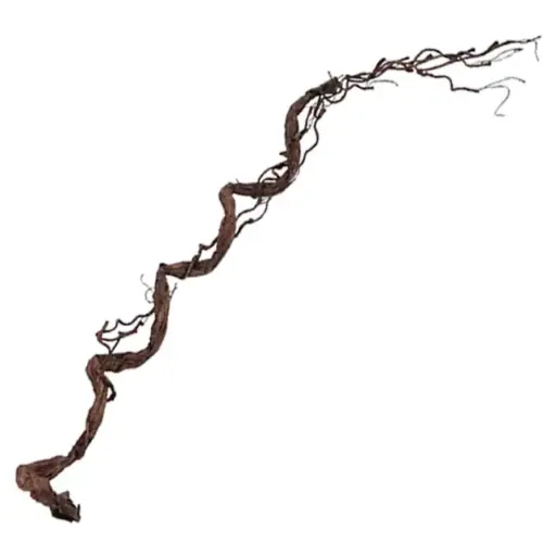 Κλαρα καφε τικ υ110cm. 48κιβ