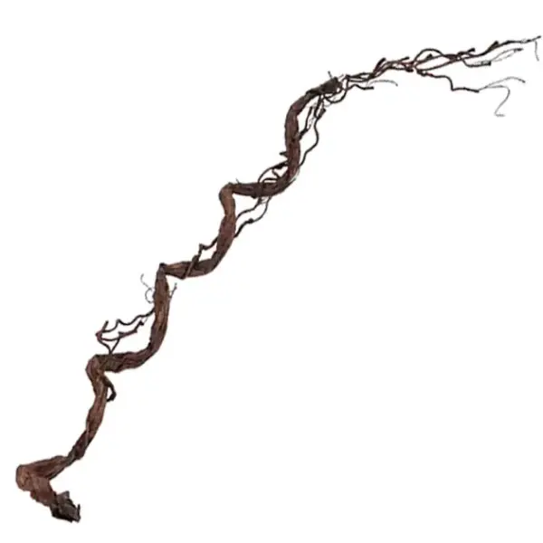 Κλαρα καφε τικ υ110cm. 48κιβ