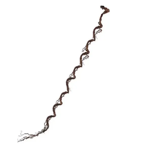 Κλαρα καφε τικ 220cm 24/κιβ