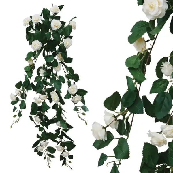 Ριζα κρεμαστη τριανταφυλλια εκρου υ90cm 15/150kib
