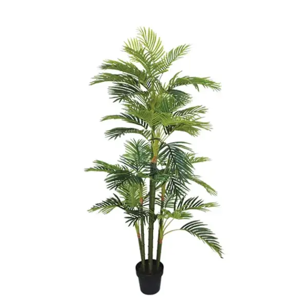 Δεντρο κεντια real touch σε γλαστρα - υ170cm 2/κιβ