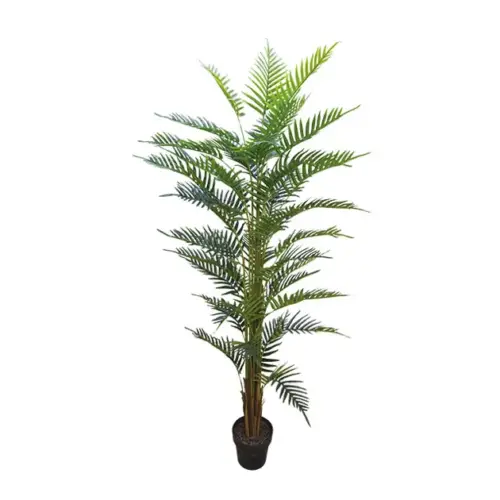Δεντρο κεντια touch σε γλαστρα - υ180cm 4/κιβ