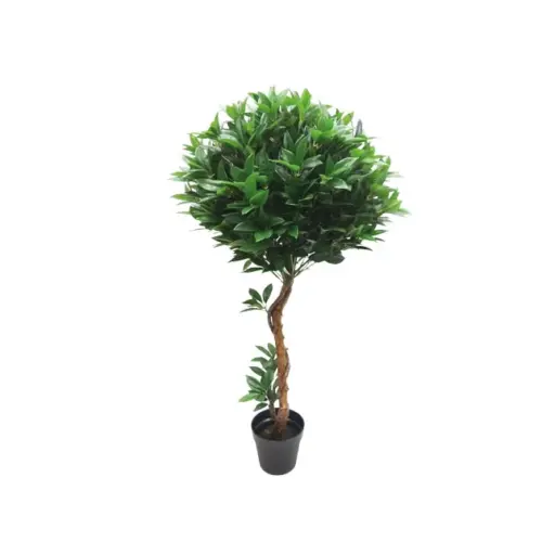 Δεντρο δαφνη μπαλα μονη - υ140cm 1/2kib