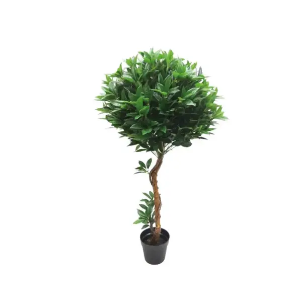 Δεντρο δαφνη μπαλα μονη - υ140cm 1/2kib