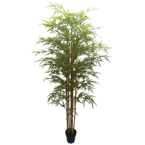 Δεντρο μπαμπου real touch σε γλαστρα - υ220cm 2/kib