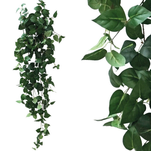 Ριζα κρεμαστη ποθοσ πρασινοσ υ130cm 1/50kib