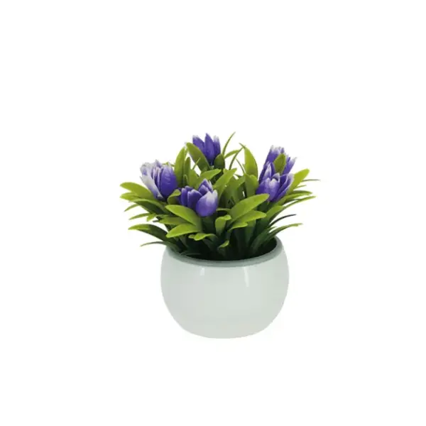 Γλαστρακι λευκο με τουλιπεσ μωβ - 8.5x8.5x13cm 1/120kib