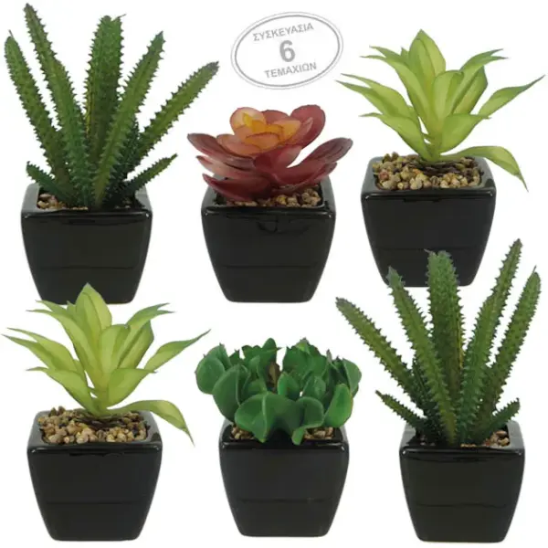 Κακτακια set/6 σε κεραμικο μαυρο γλαστρακι 6x6x15cm 6/kib