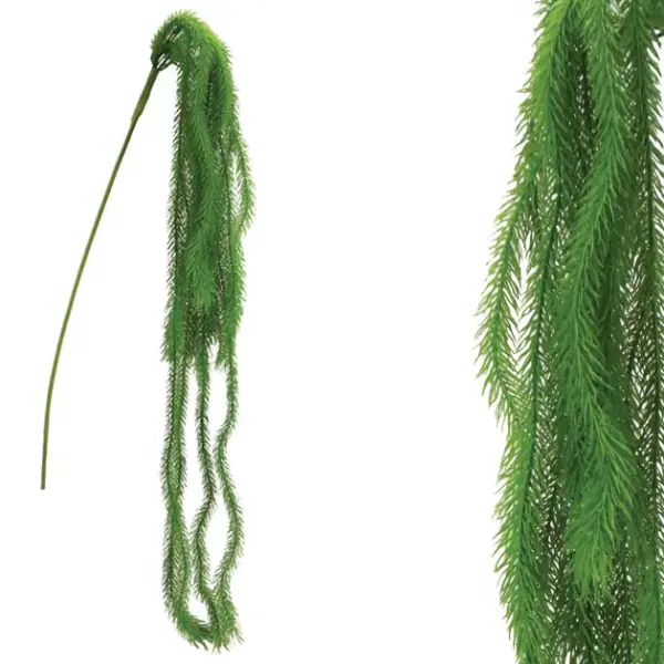 Ριζα κρεμαστη πρασινο αρωκαρια υ94-152cm 36/108κιβ