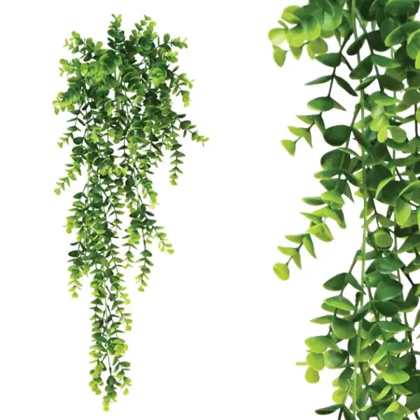 Ριζα κρεμαστη ευκαλυπτοσ πρασινο 37x67/77cm 36/108κιβ