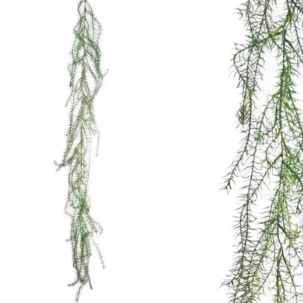 Γιρλαντα μαραθοσ 60x150cm 36/144κιβ